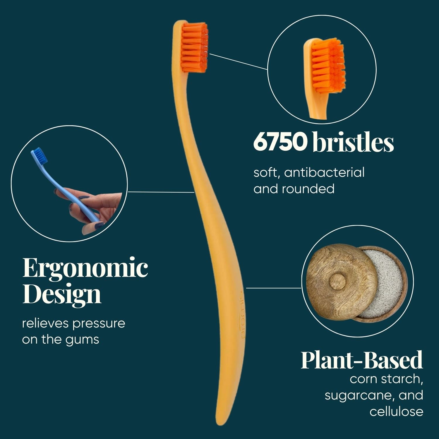 promis brush toothbrush