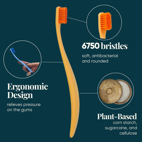 promis brush toothbrush