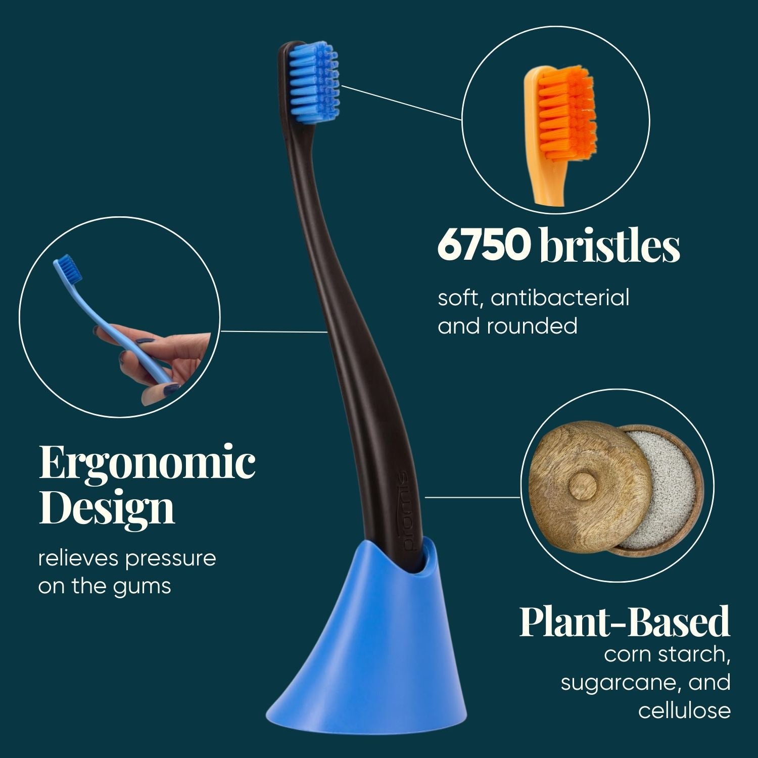 Promis Toothbrush & Holder Combo-pack Black/Blue