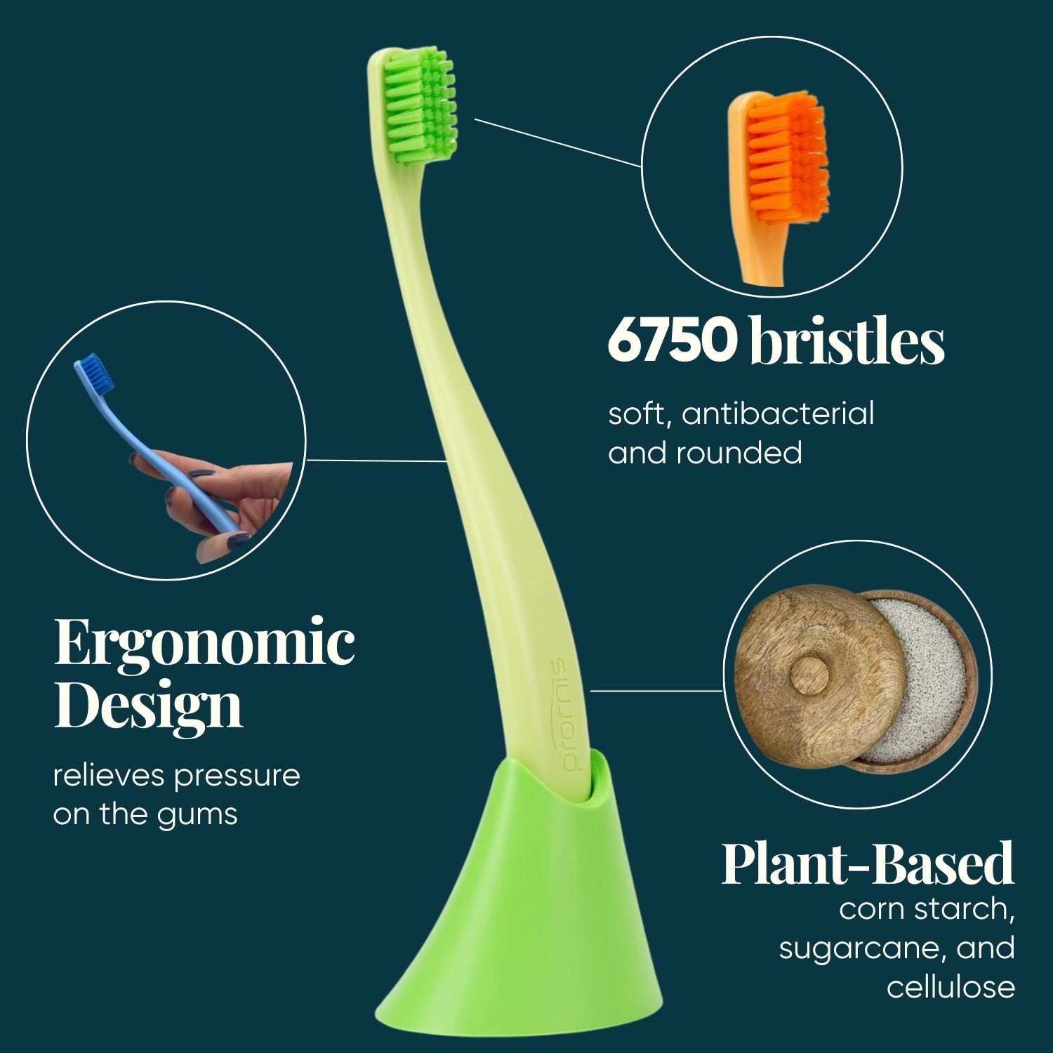 Promis Toothbrush & Holder Combo-pack Green