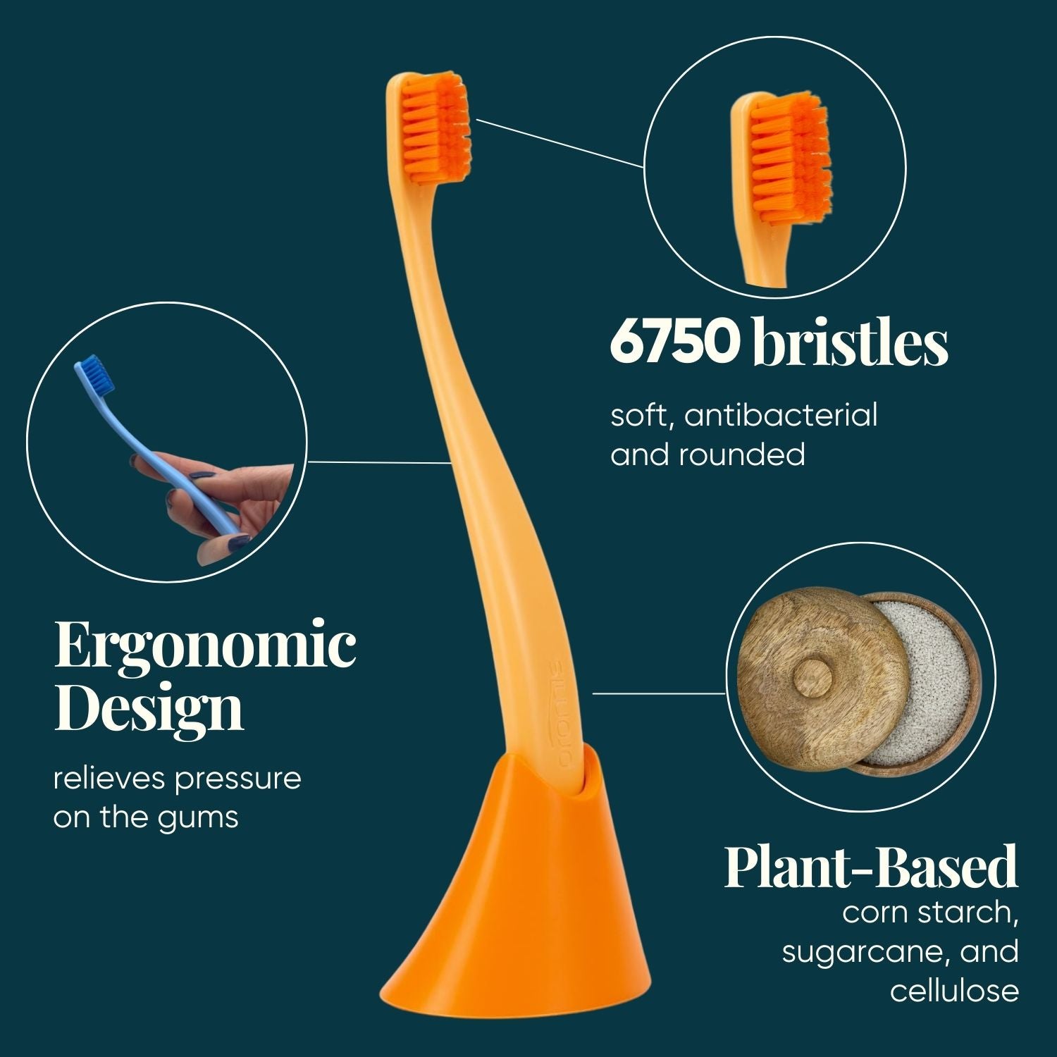 Promis Toothbrush & Holder Combo-pack Orange