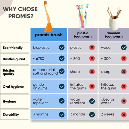 Promis Toothbrush & Holder Combo - Family 4-Pack for The Grommet