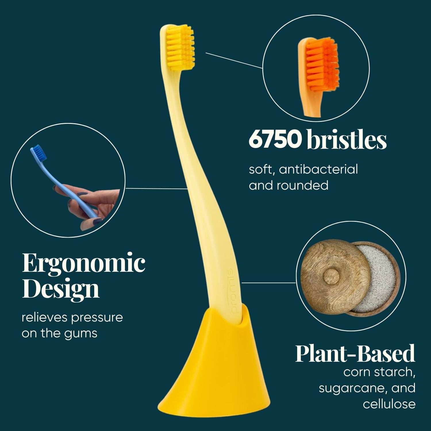 Promis Toothbrush & Holder Combo-pack Yellow