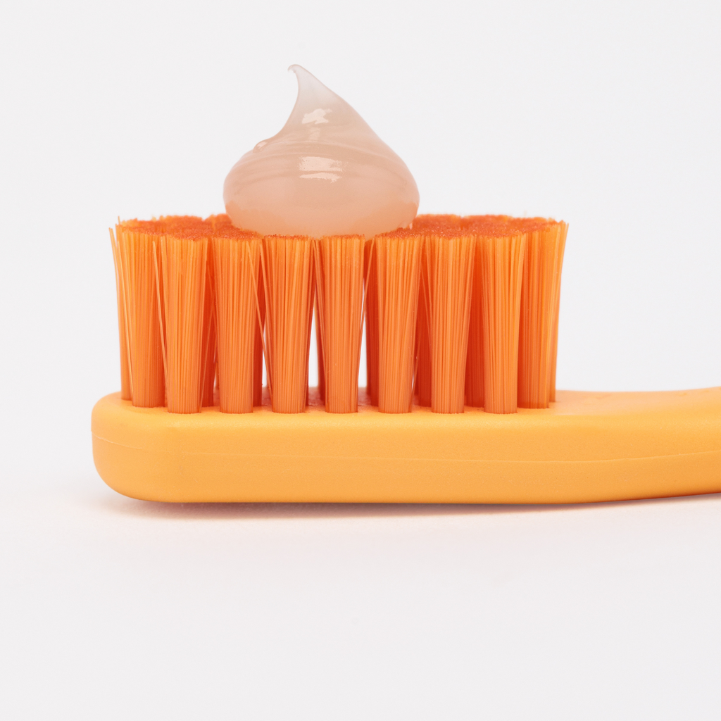 Promis Toothbrush & Holder Combo-pack Orange