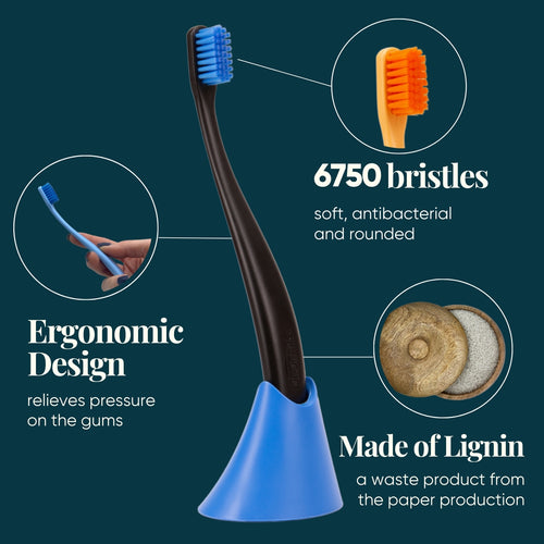 promis brush combo black blue characteristics
