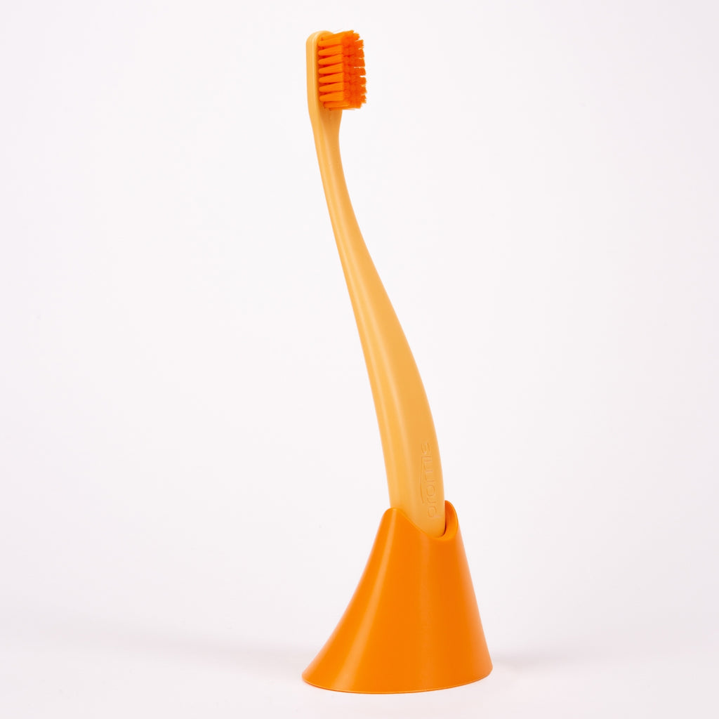 promis brush & holder Combopack